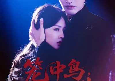 笼中鸟，烬中生（60集）罗正＆郑初晨海报