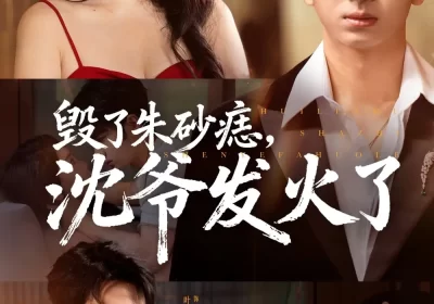 毁了朱砂痣，沈爷发火了（60集）叶森林＆张璇海报