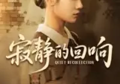 寂静的回响（62集）夏炎海报