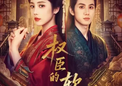 权臣的软肋（64集）陈政阳＆黄云云海报
