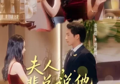 夫人裴总说他不认识您（75集）张淇皓&尹晨攒海报