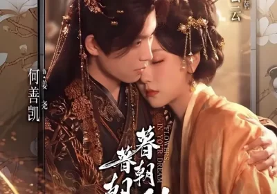 暮暮朝朝梨花落（99集）何善凯＆王云云（彩彩云）海报