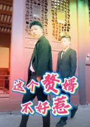 这个赘婿不好惹（27集）海报