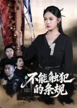 不能触犯的条规（50集）张亚迪&杨曦麟海报
