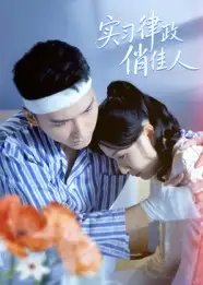 短剧《实习律政俏佳人》完整版免费在线观看