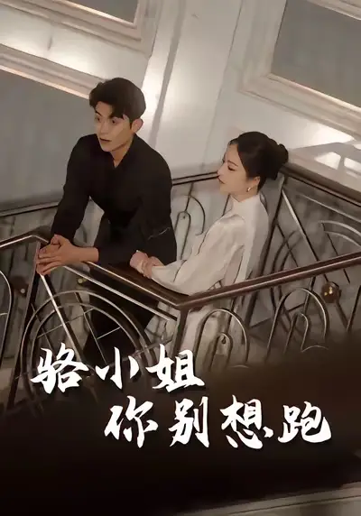 短剧《骆小姐你别想跑》完整版免费在线观看