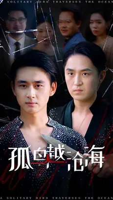 短剧《孤鸟越沧海》完整版免费在线观看