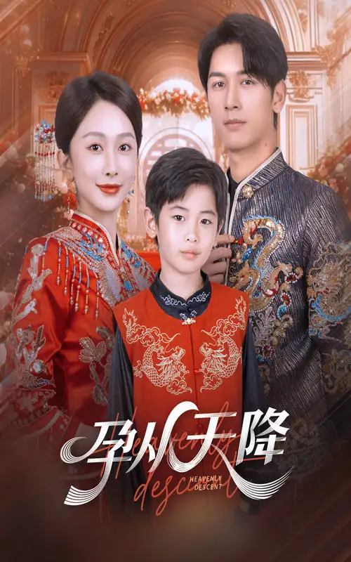 孕从天降（70集）海报