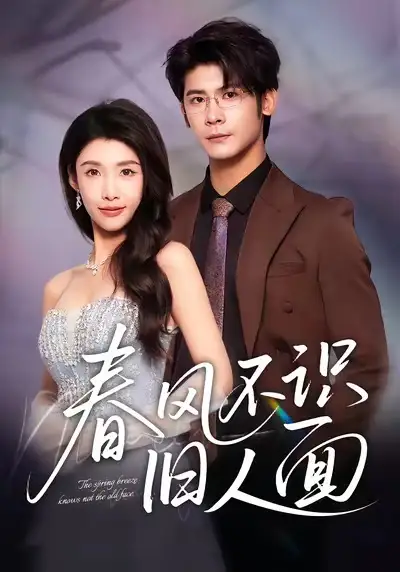 短剧《春风不识旧人面》完整版免费在线观看