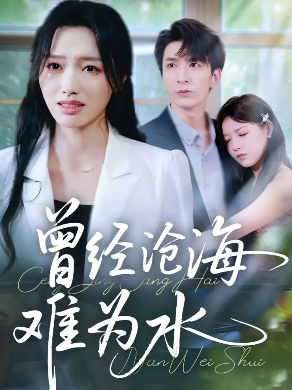 短剧《曾经沧海难为水》完整版免费在线观看