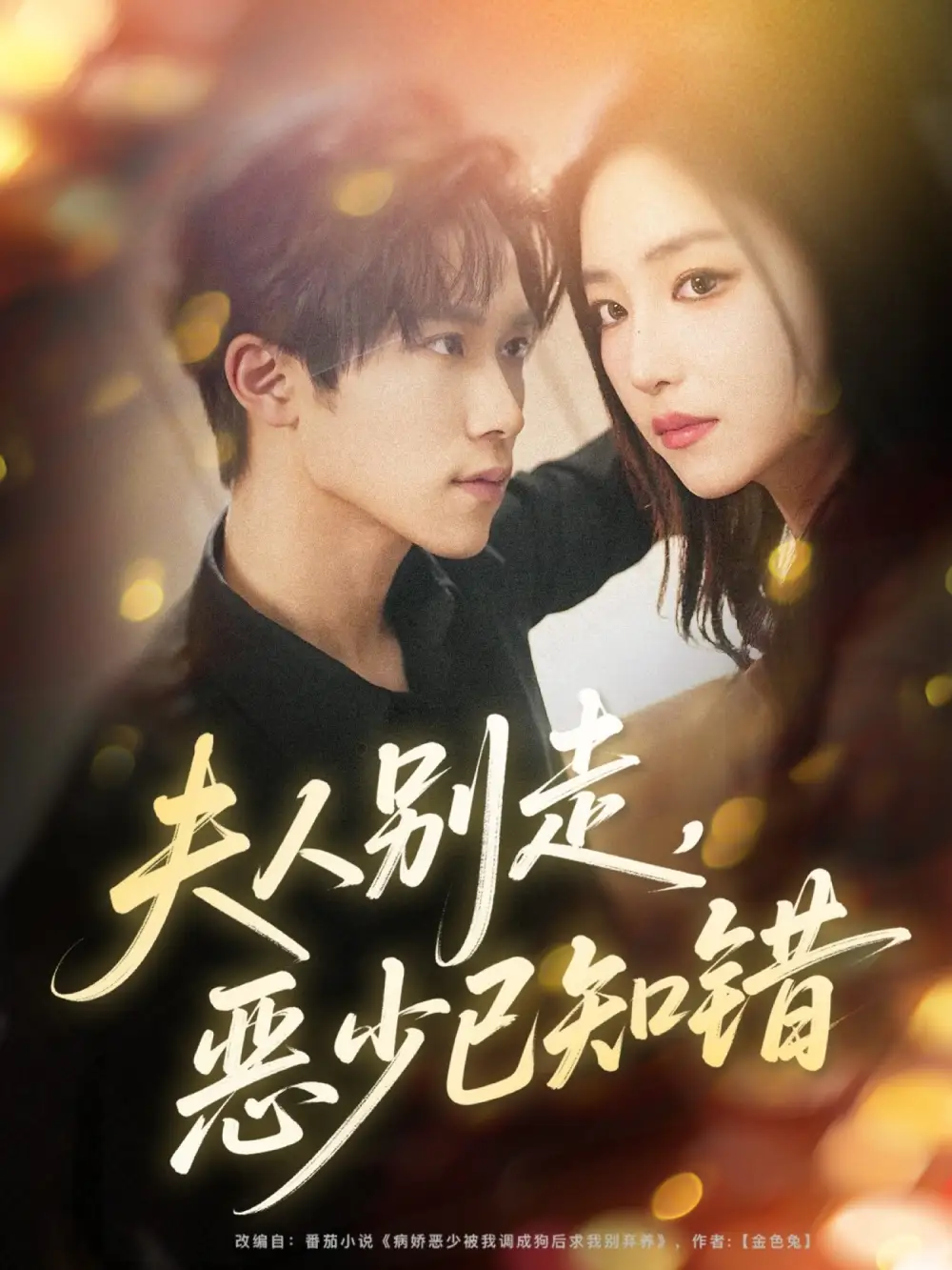 短剧《夫人别走恶少已知错》完整版免费在线观看