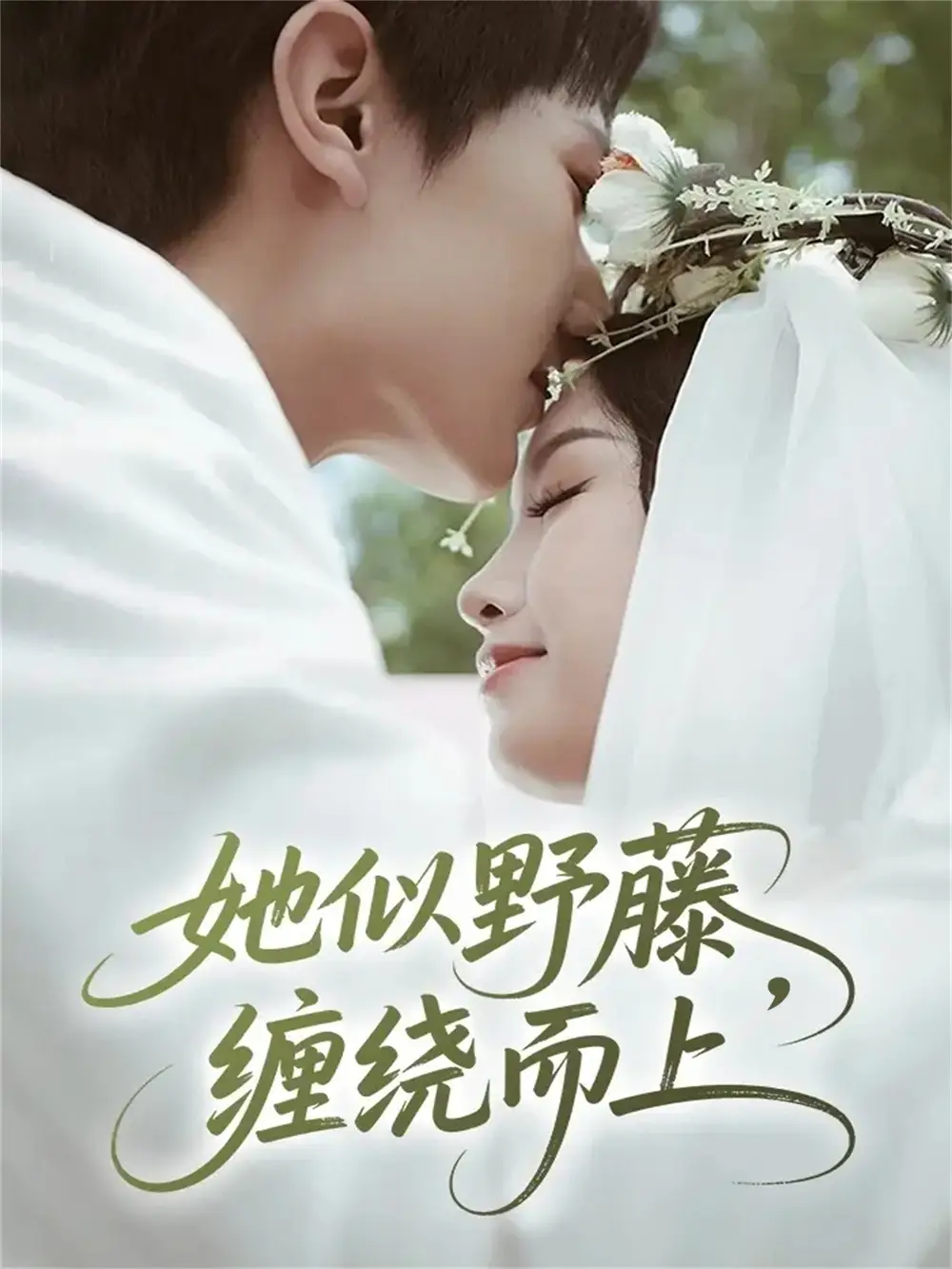 她似野藤,缠绕而上(51集)万烽&李文茹高清海报图片 她似野藤,缠绕而上(51集)万烽&李文茹海报