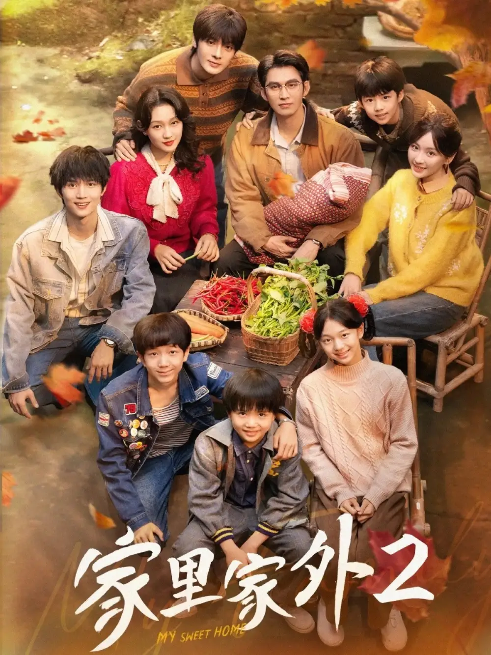 短剧《家里家外2》完整版免费在线观看