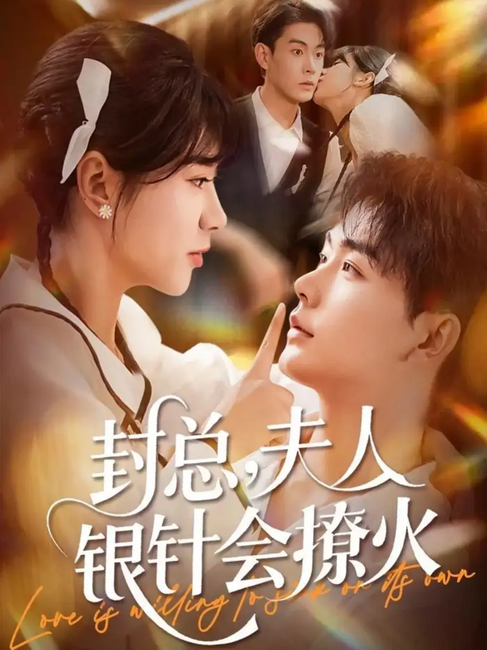 封总,夫人银针会撩火(69集)张昊&徐海文高清海报图片 封总,夫人银针会撩火(69集)张昊&徐海文海报