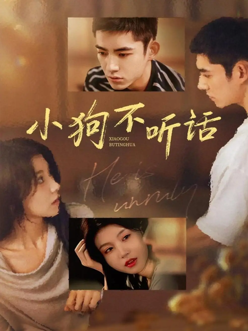 短剧《小狗不听话》完整版免费在线观看