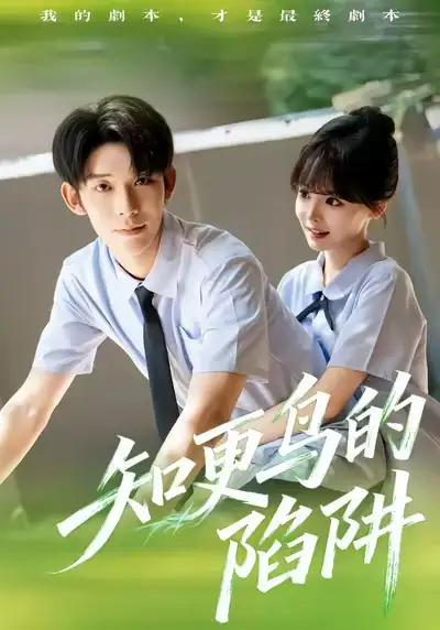 短剧《知更鸟的陷阱》完整版免费在线观看