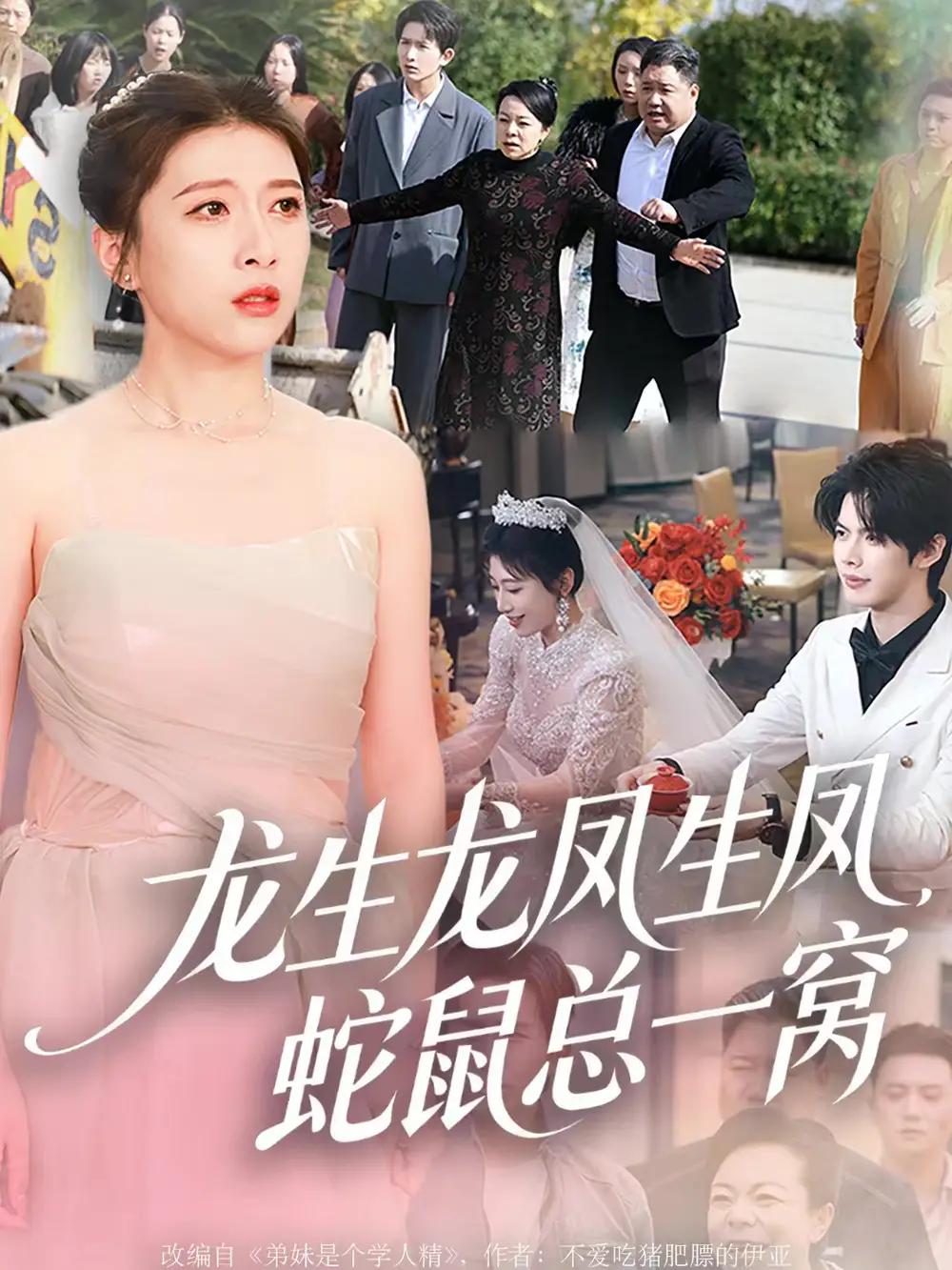 短剧《龙生龙凤生凤，蛇鼠总一窝》完整版免费在线观看